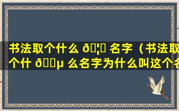 书法取个什么 🦁 名字（书法取个什 🌵 么名字为什么叫这个名字呢）